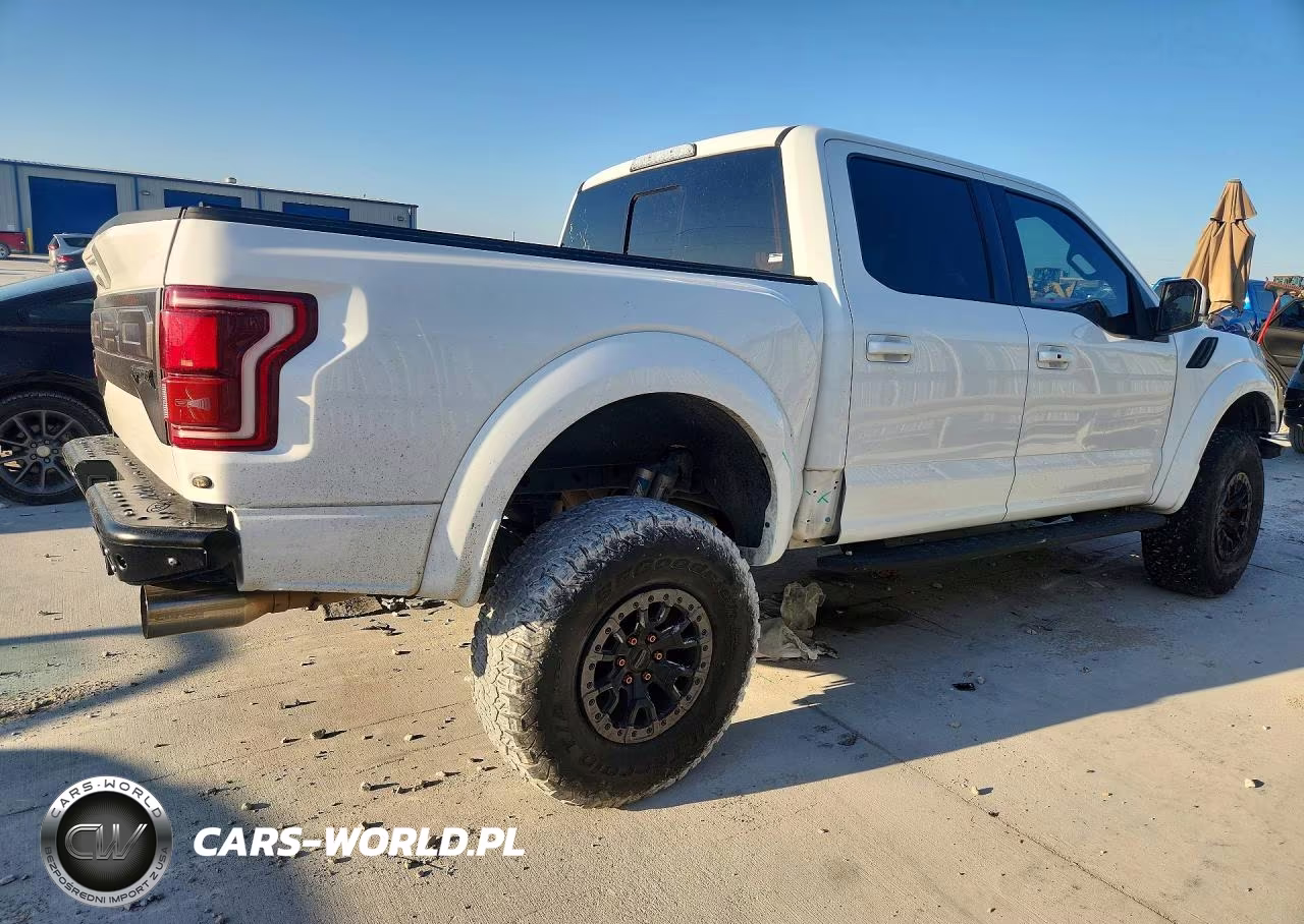 2018 Ford F150 Raptor VIN:1FTFW1RG7JFC37596 - 3