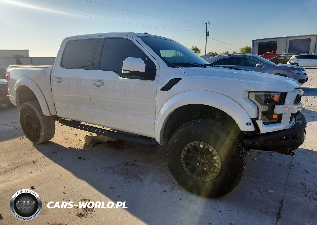 2018 Ford F150 Raptor VIN:1FTFW1RG7JFC37596 - 4