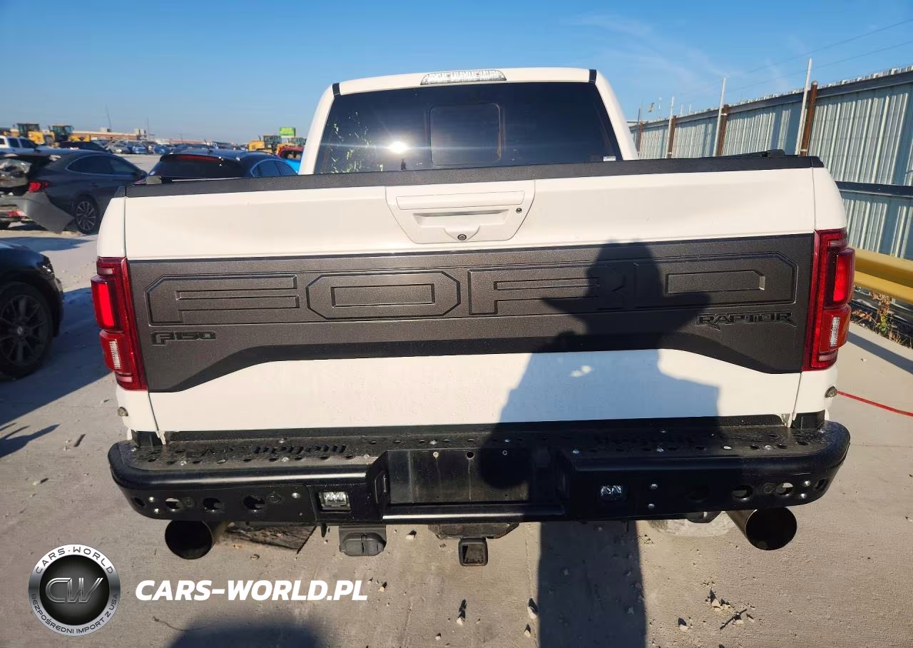 2018 Ford F150 Raptor VIN:1FTFW1RG7JFC37596 - 6