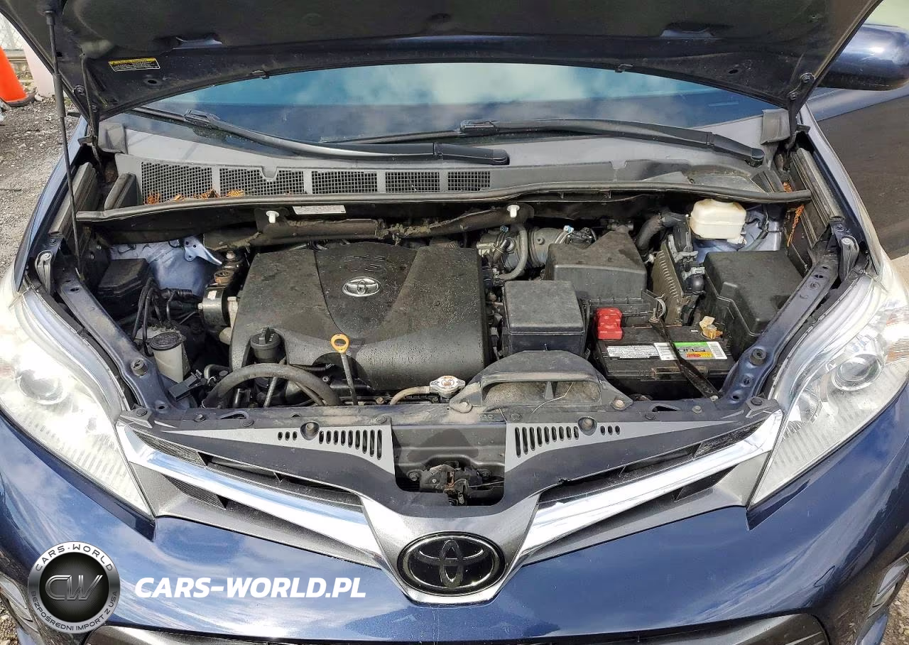 2019 Toyota Sienna Xle Premium 8-Passenger VIN:5TDYZ3DC7KS003315 - 12