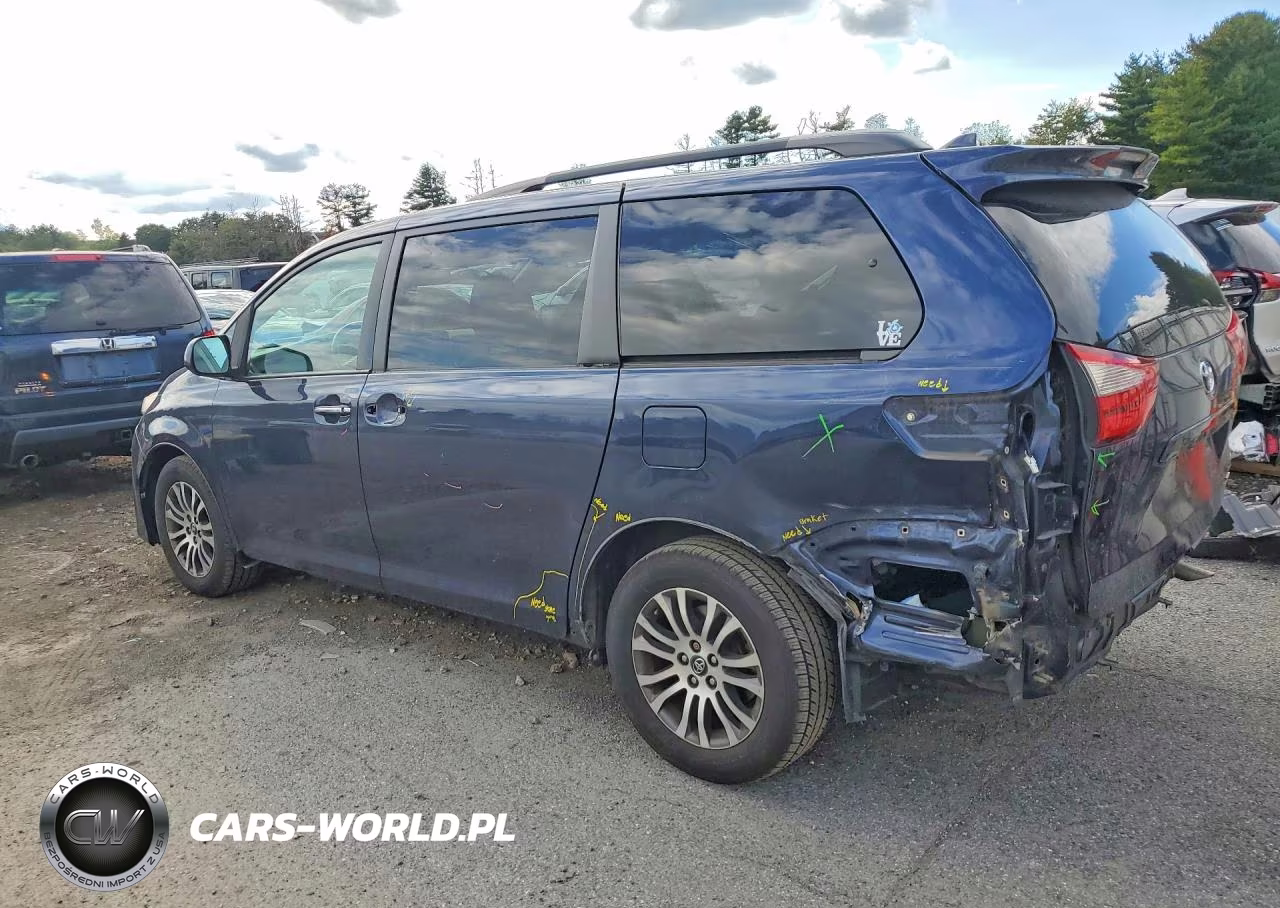2019 Toyota Sienna Xle Premium 8-Passenger VIN:5TDYZ3DC7KS003315 - 2