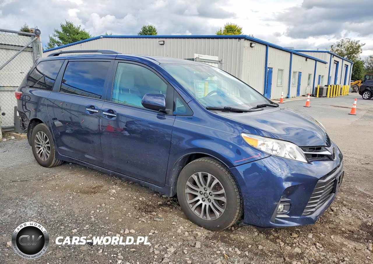 2019 Toyota Sienna Xle Premium 8-Passenger VIN:5TDYZ3DC7KS003315 - 4