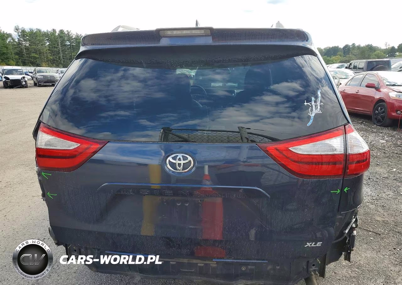 2019 Toyota Sienna Xle Premium 8-Passenger VIN:5TDYZ3DC7KS003315 - 6