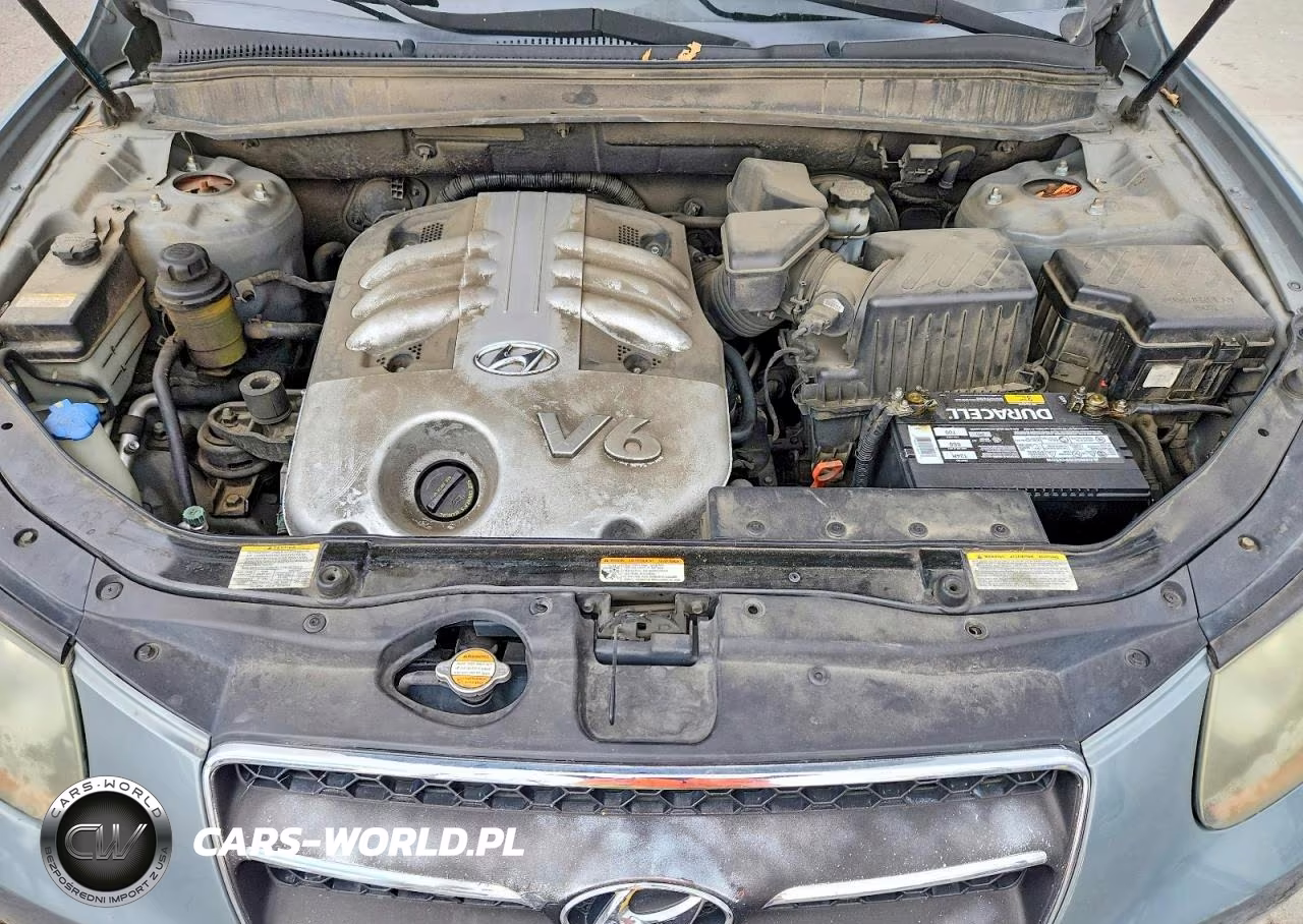 2007 Hyundai Santa Fe Se VIN:5NMSH73E37H040245 - 12