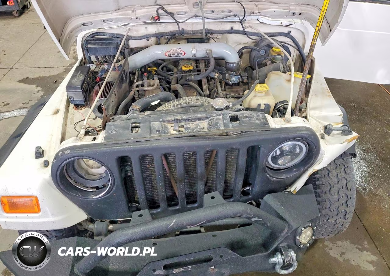 1997 Jeep Wrangler - Tj Sport VIN:1J4FY19S8VP440263 - 11