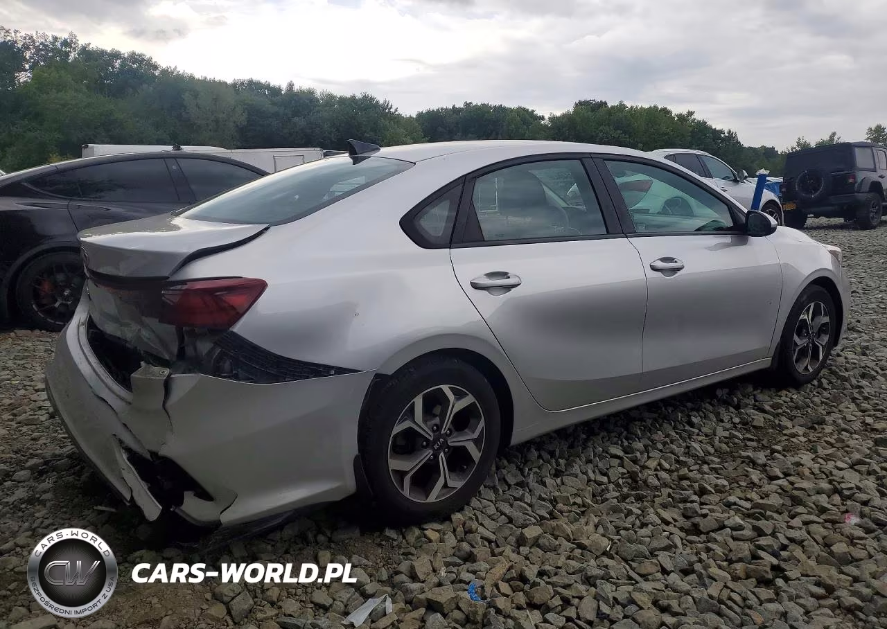 2019 Kia Forte Lxs VIN:3KPF24AD6KE131425 - 3