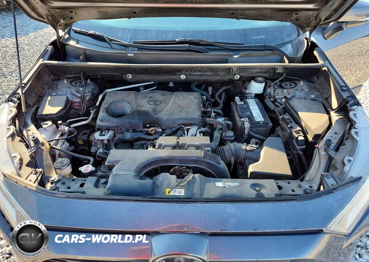 2019 Toyota Rav4 Xle VIN:2T3W1RFV2KC025559 - 12