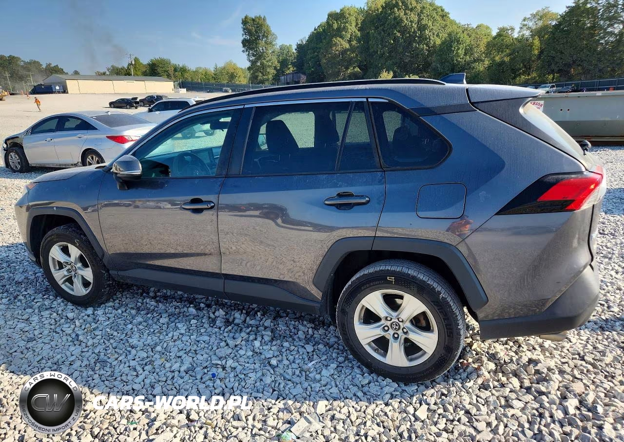 2019 Toyota Rav4 Xle VIN:2T3W1RFV2KC025559 - 2