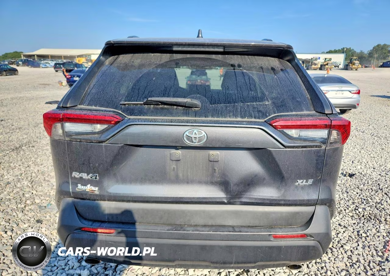 2019 Toyota Rav4 Xle VIN:2T3W1RFV2KC025559 - 6