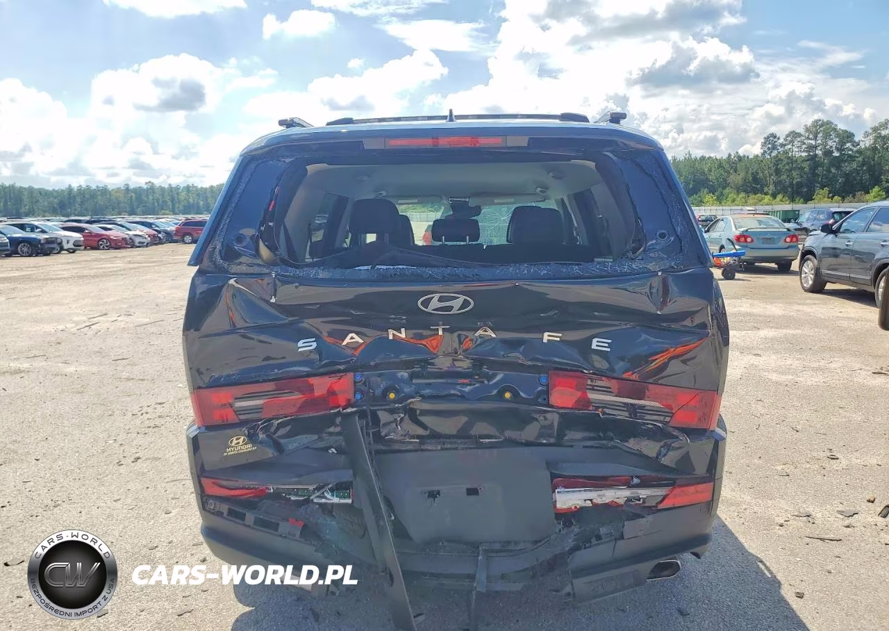 2025 Hyundai Santa Fe Sel VIN:5NMP24GL3SH118918 - 6