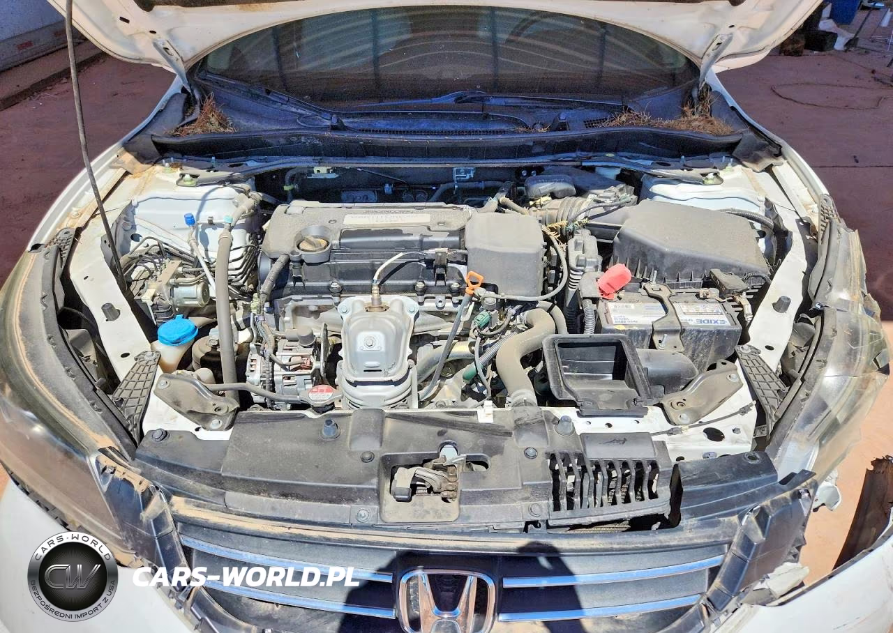 2014 Honda Accord Exl VIN:1HGCR2F87EA142599 - 11