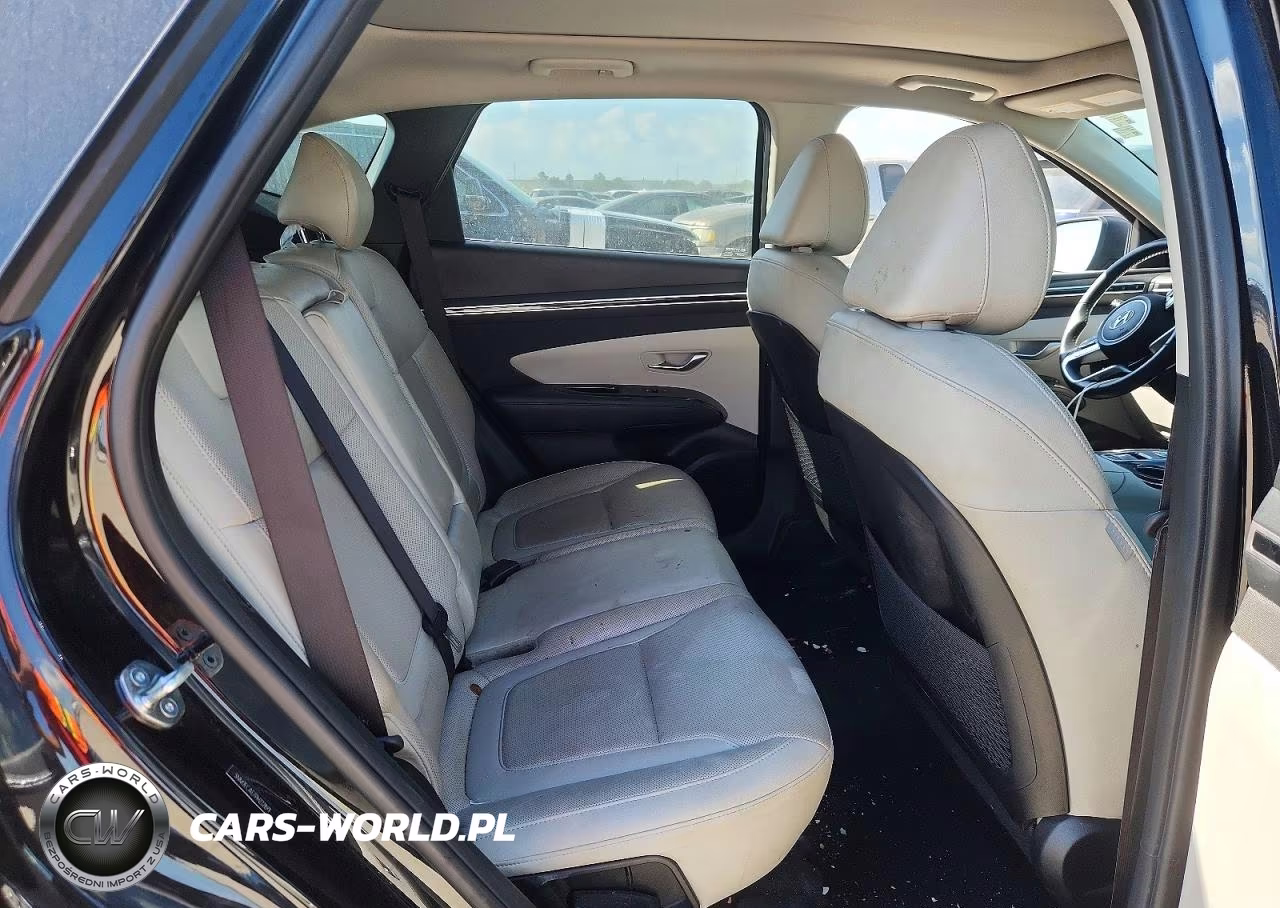 2023 Hyundai Tucson Limited VIN:5NMJECAE7PH222899 - 11