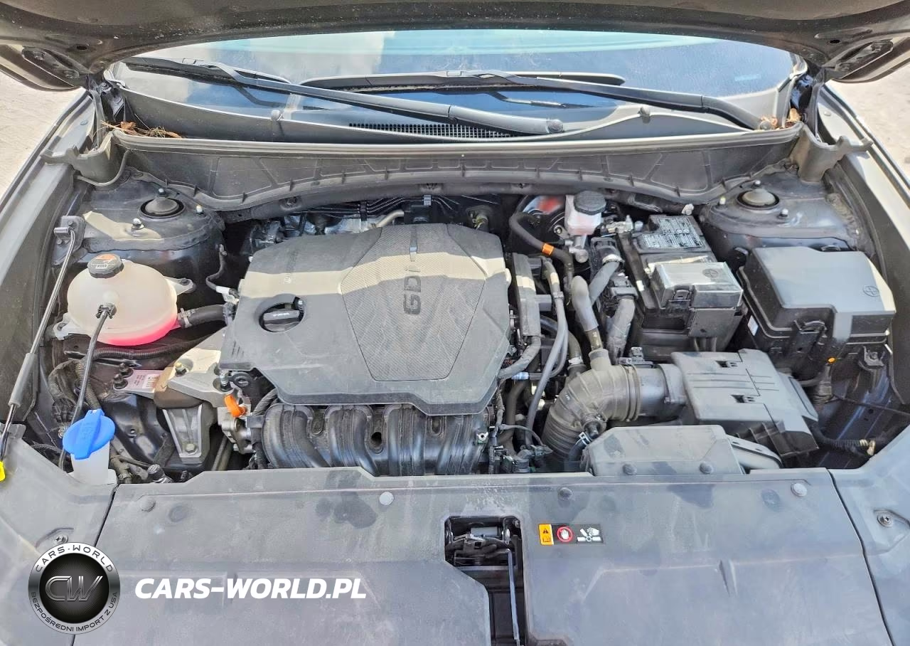 2023 Hyundai Tucson Limited VIN:5NMJECAE7PH222899 - 12