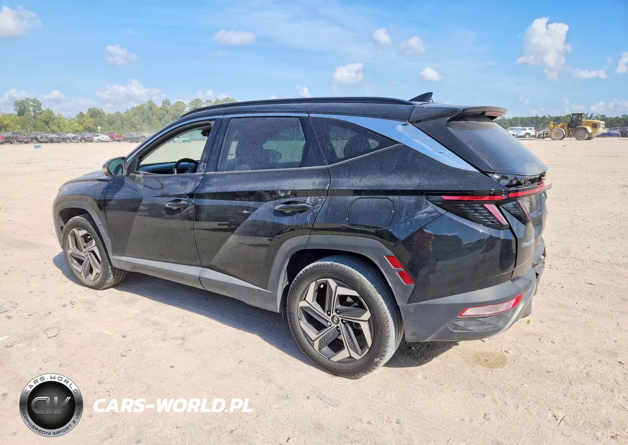 2023 Hyundai Tucson Limited VIN:5NMJECAE7PH222899 - 2