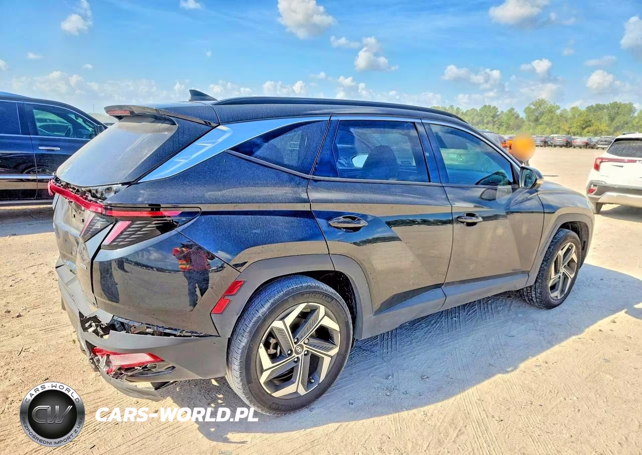 2023 Hyundai Tucson Limited VIN:5NMJECAE7PH222899 - 3