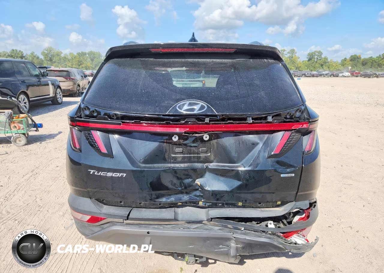 2023 Hyundai Tucson Limited VIN:5NMJECAE7PH222899 - 6