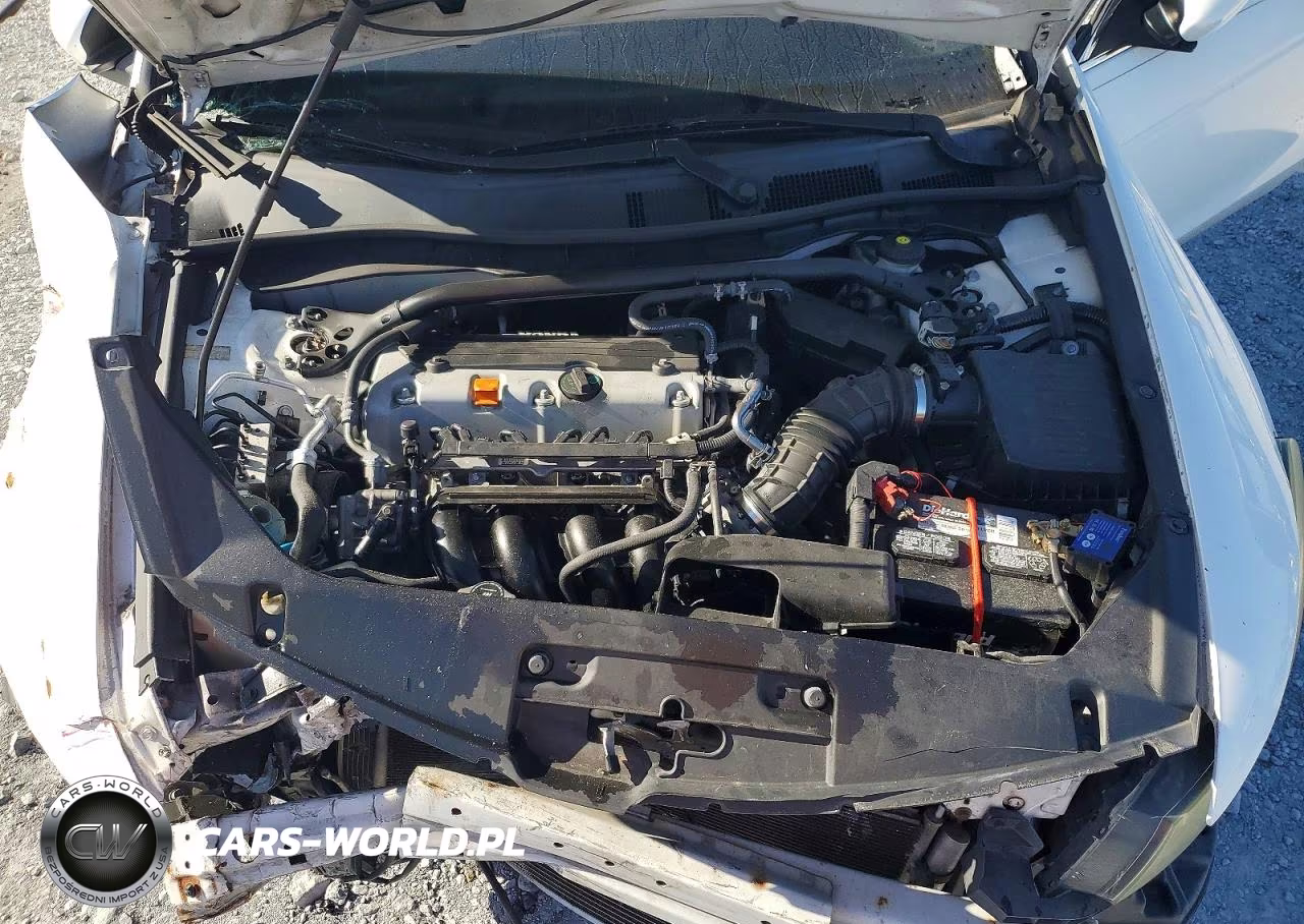 2010 Honda Accord Exl VIN:1HGCS1B8XAA016025 - 11