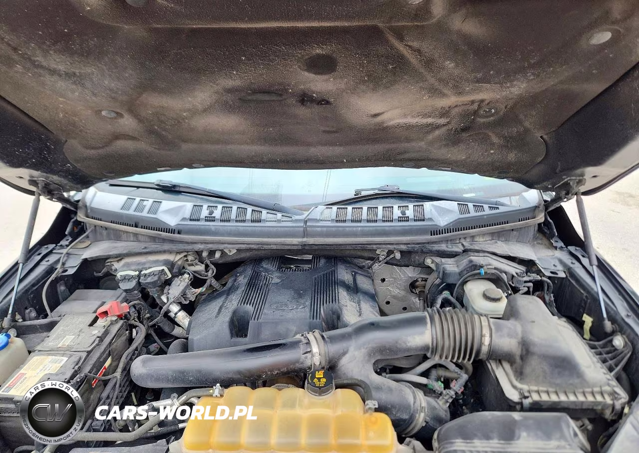 2018 Ford F150 Supercrew VIN:1FTEW1EG7JFA33866 - 11