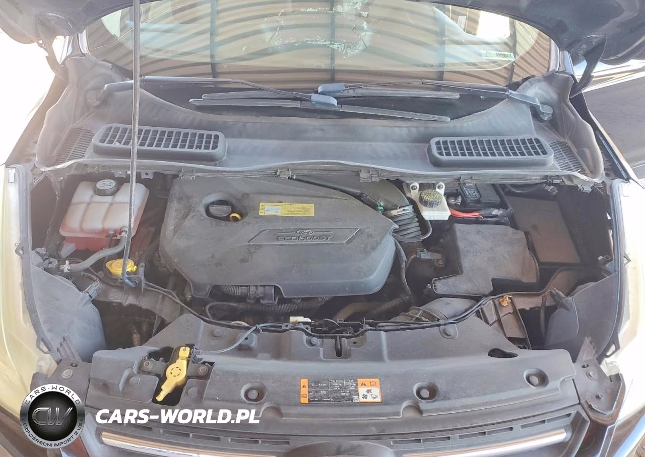2013 Ford Escape Se VIN:1FMCU0GX5DUD18159 - 12