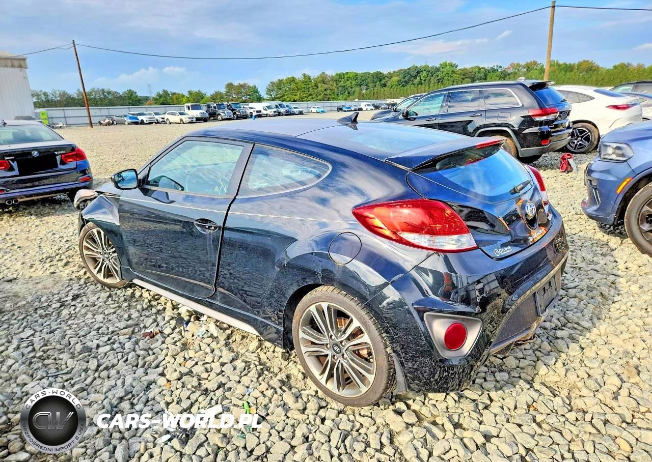 2016 Hyundai Veloster Turbo VIN:KMHTC6AE6GU273850 - 2