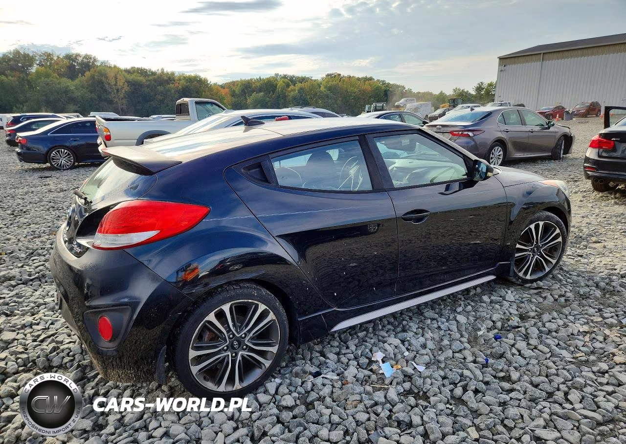 2016 Hyundai Veloster Turbo VIN:KMHTC6AE6GU273850 - 3