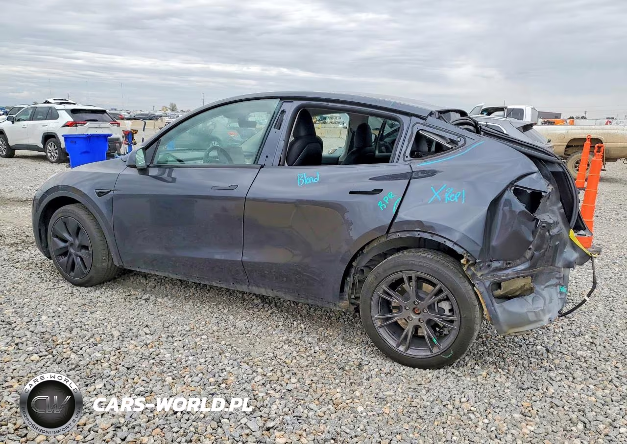 2025 Tesla Model Y VIN:7SAYGDEE2SF257971 - 2