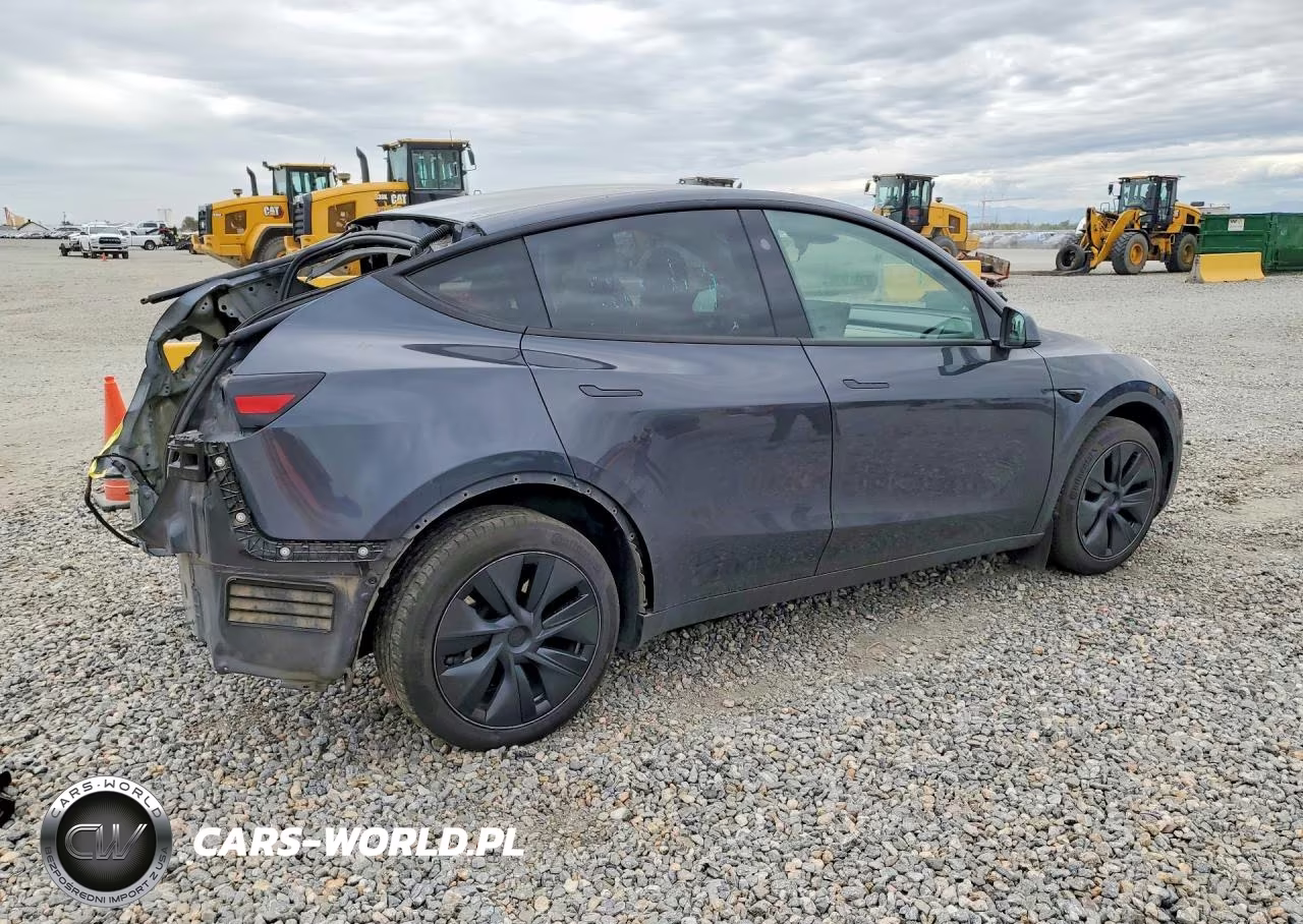 2025 Tesla Model Y VIN:7SAYGDEE2SF257971 - 3
