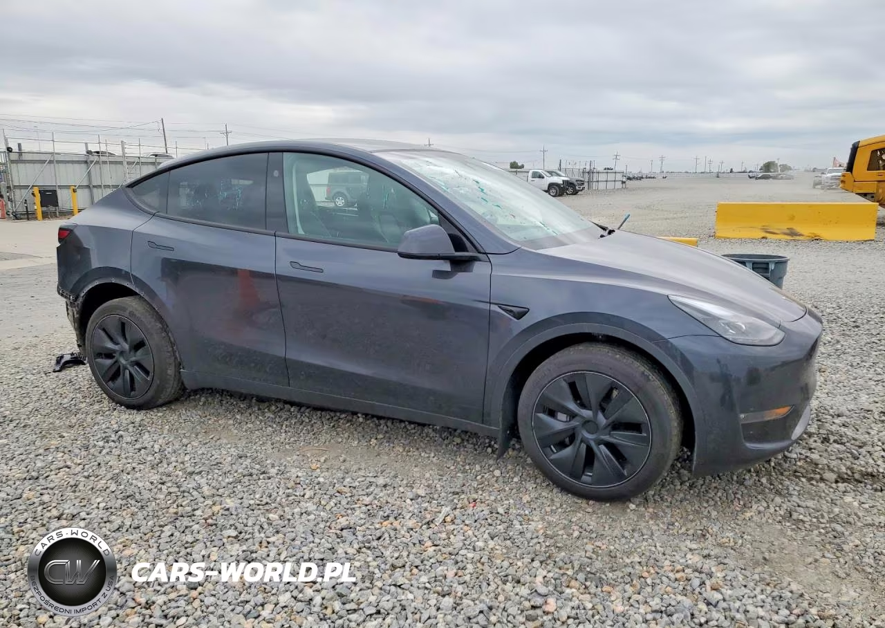 2025 Tesla Model Y VIN:7SAYGDEE2SF257971 - 4