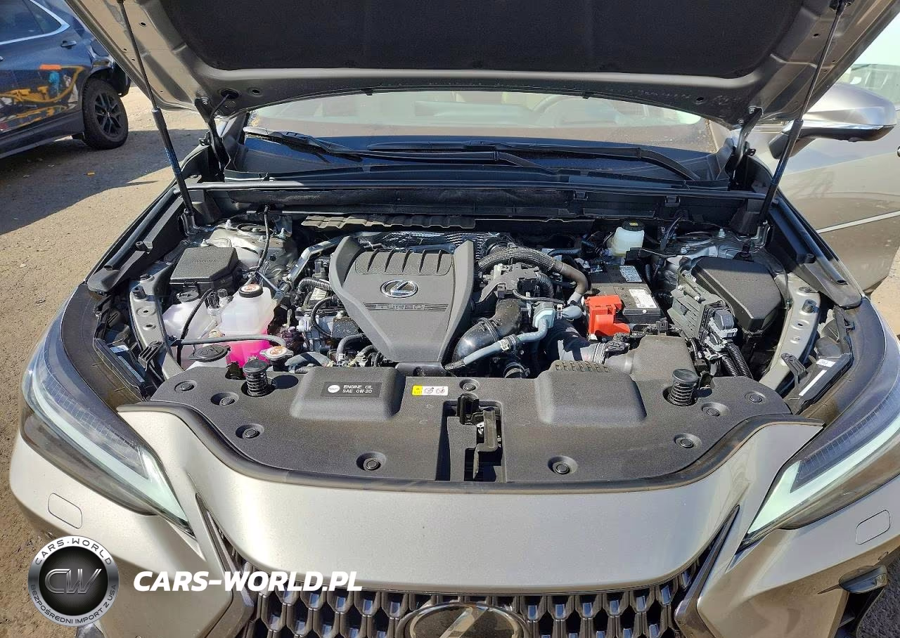 2026 Lexus Nx 350 Luxury VIN:2T2HGCEZ4TC122857 - 12