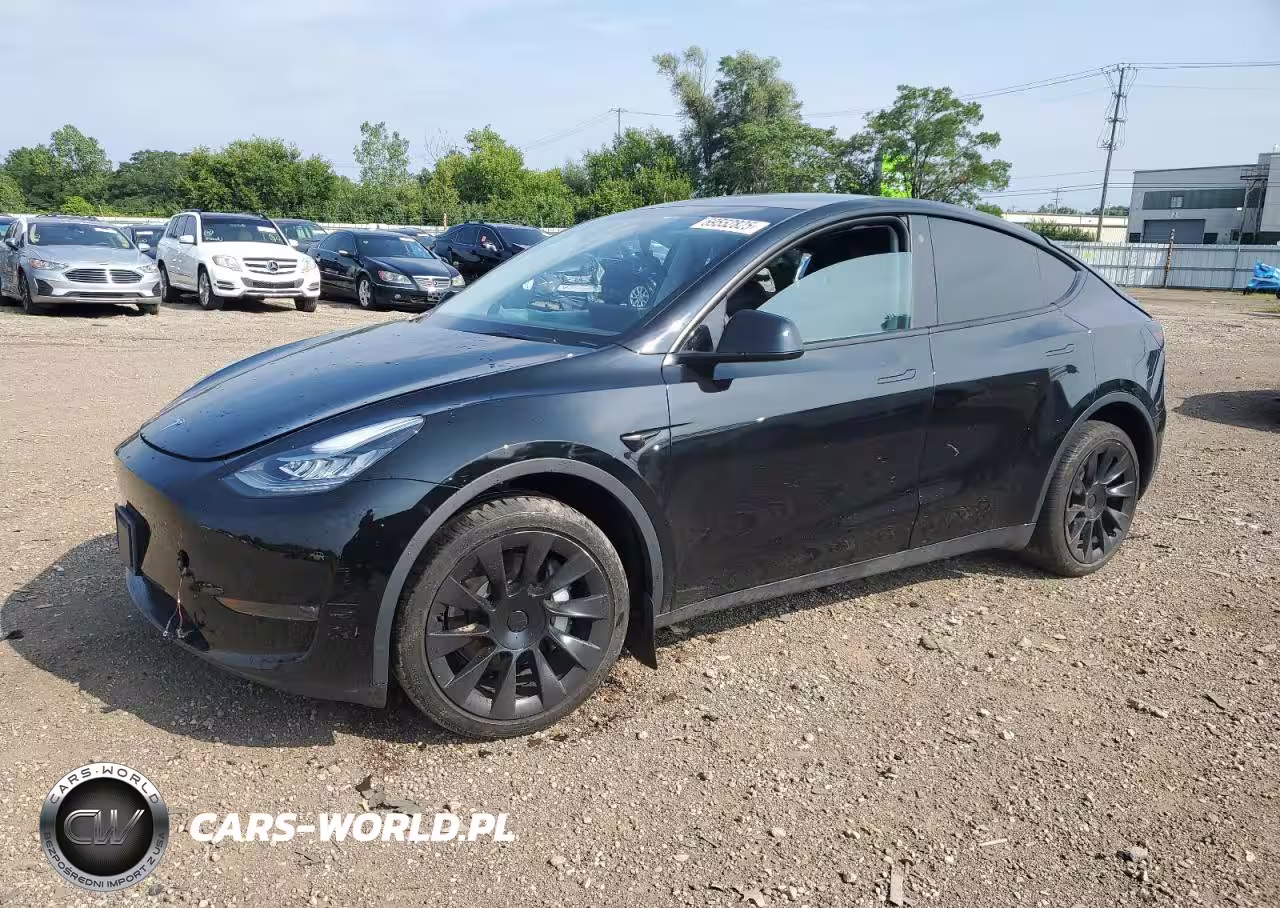 2023 Tesla Model Y
