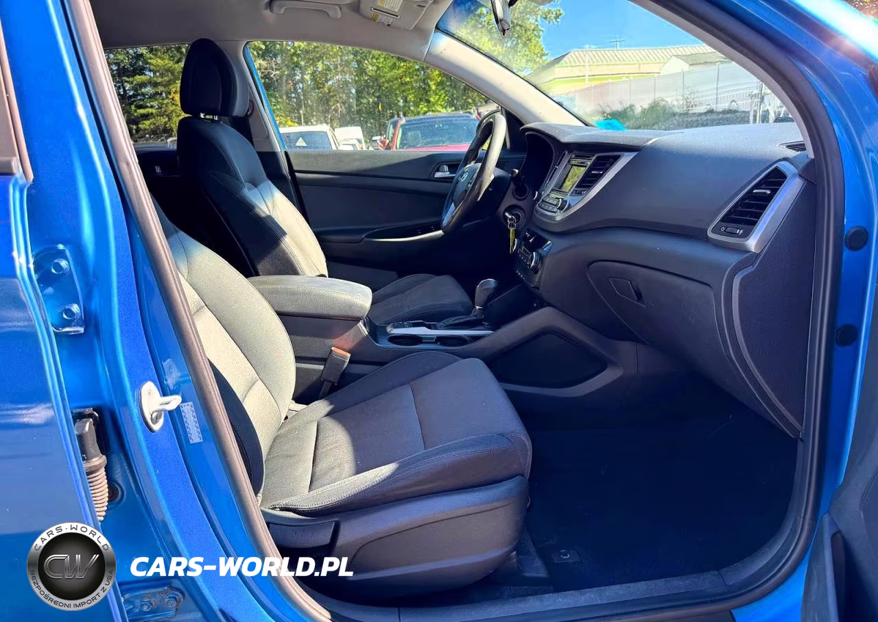 2017 Hyundai Tucson Eco VIN:KM8J3CA20HU313336 - 10