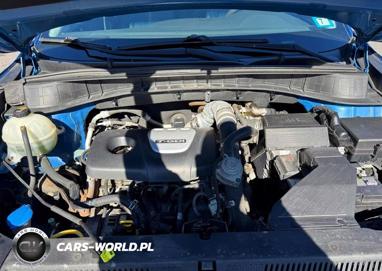 2017 Hyundai Tucson Eco VIN:KM8J3CA20HU313336 - 7
