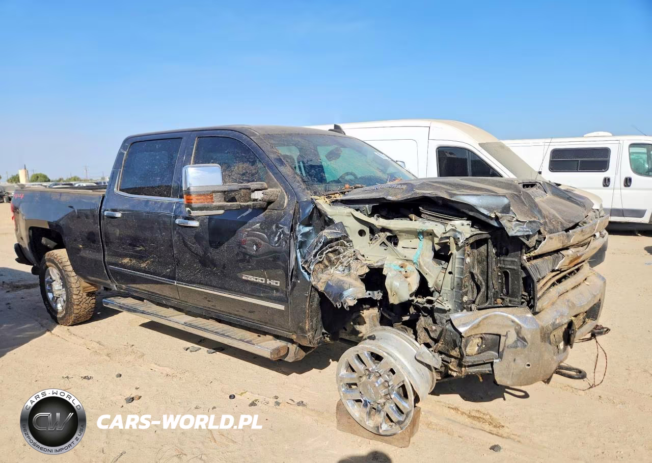 2019 Chevrolet Silverado K2500 Heavy Duty Ltz VIN:1GC1KTEYXKF115932 - 4