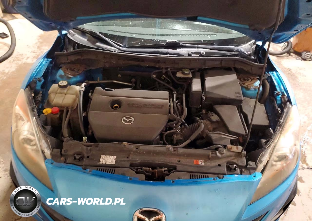 2010 Mazda 3 S VIN:JM1BL1H65A1231499 - 11