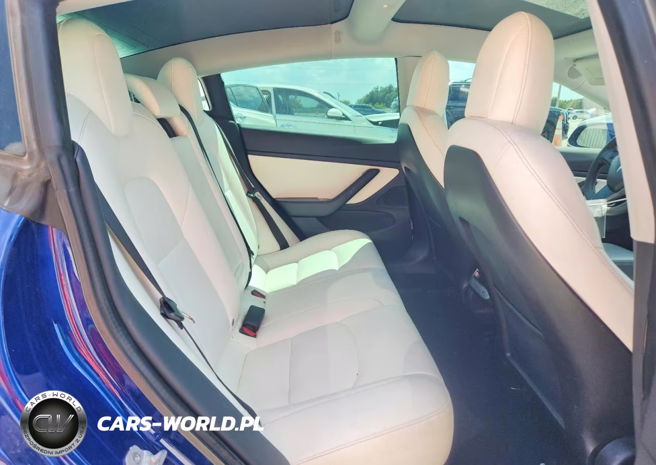 2020 Tesla Model 3 VIN:5YJ3E1EA7LF599233 - 10