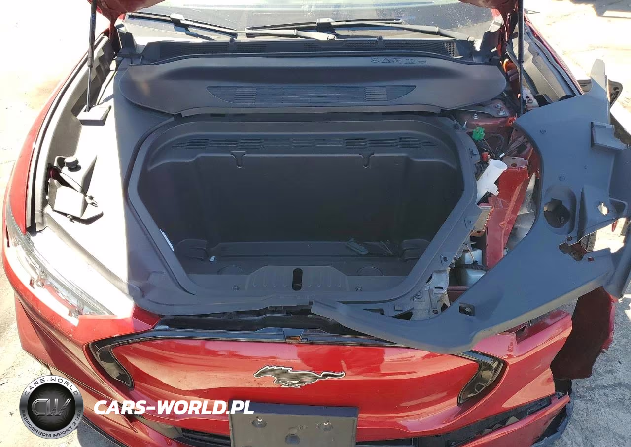 2023 Ford Mustang Mach-E Premium VIN:3FMTK3SU4PMB07015 - 12