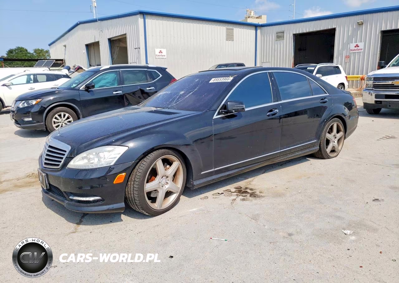 2010 Mercedes-Benz S 550 VIN:WDDNG7BBXAA319013 - 1