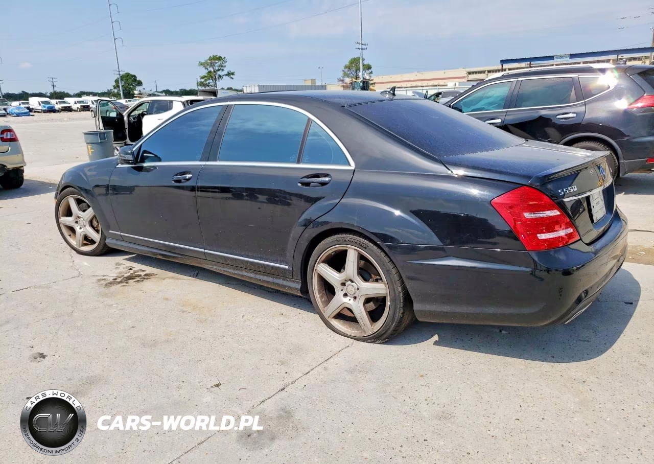 2010 Mercedes-Benz S 550 VIN:WDDNG7BBXAA319013 - 2