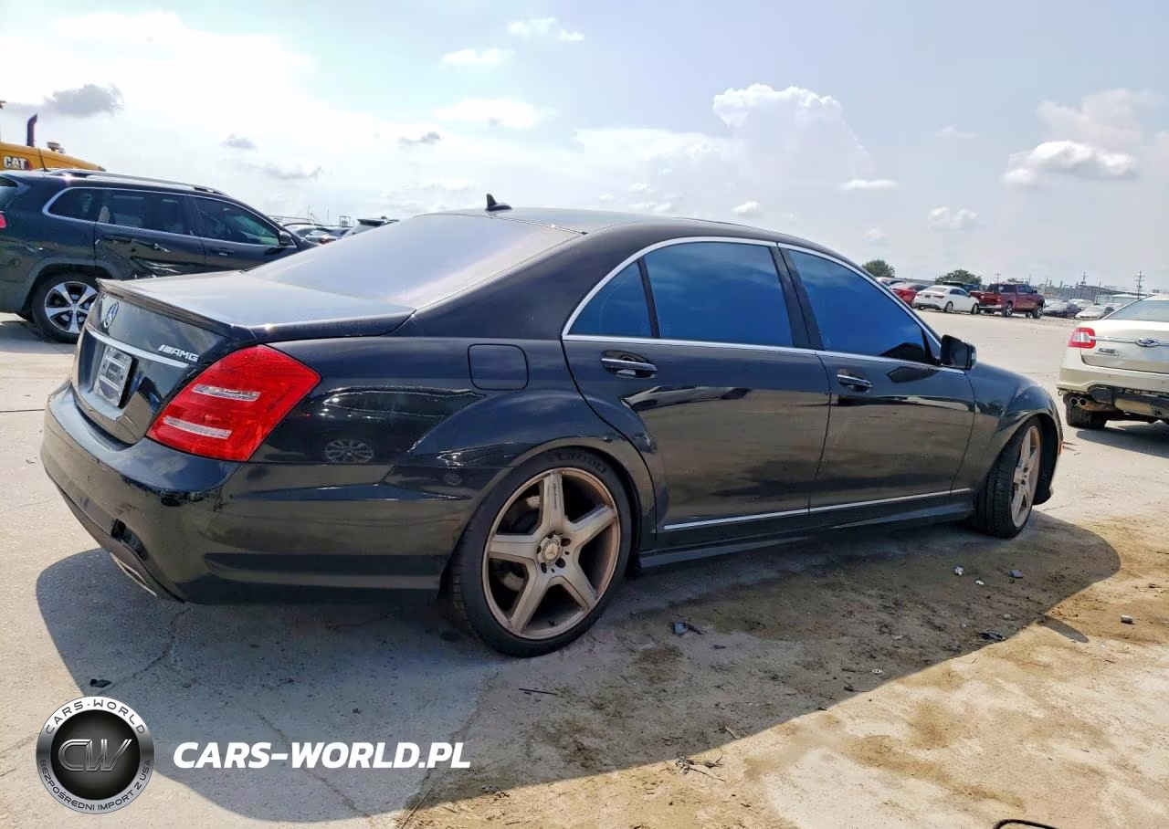 2010 Mercedes-Benz S 550 VIN:WDDNG7BBXAA319013 - 3
