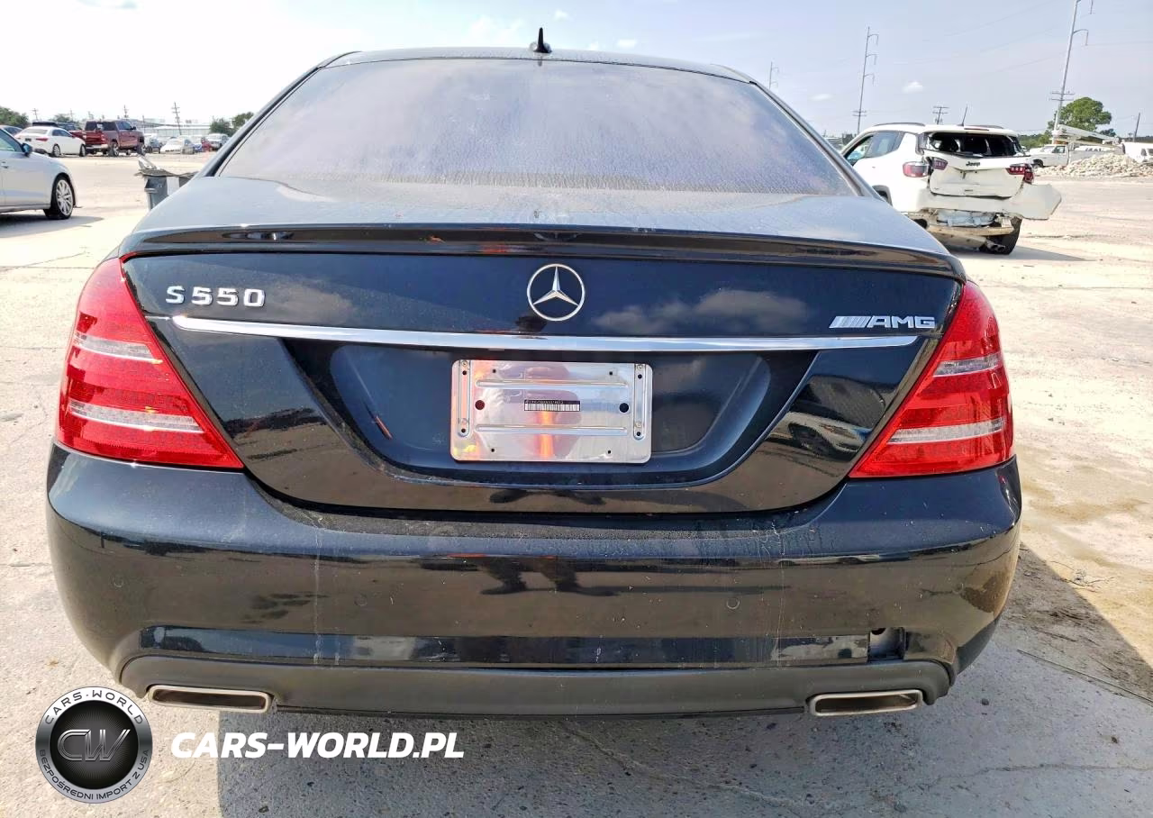 2010 Mercedes-Benz S 550 VIN:WDDNG7BBXAA319013 - 6