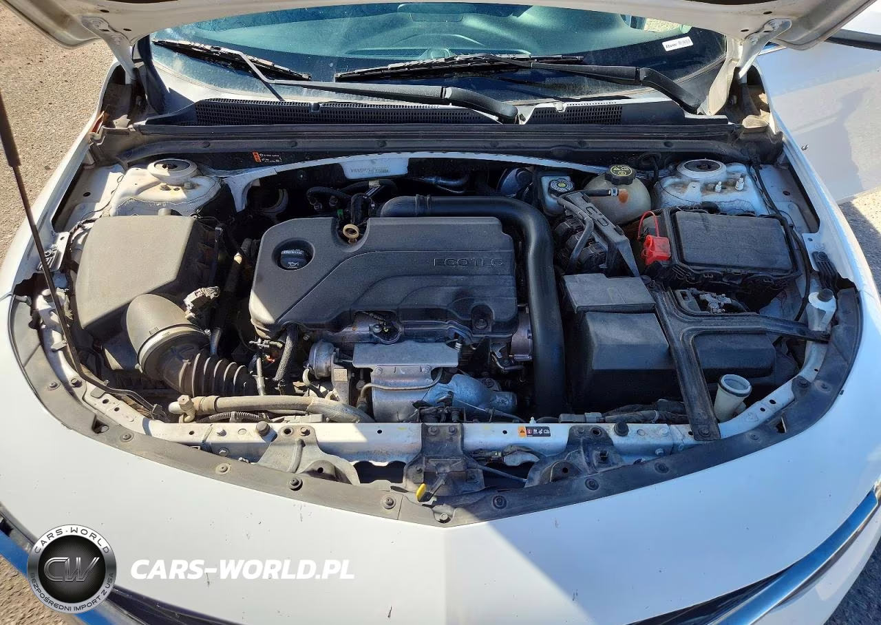 2019 Chevrolet Malibu Lt VIN:1G1ZD5ST5KF105108 - 11