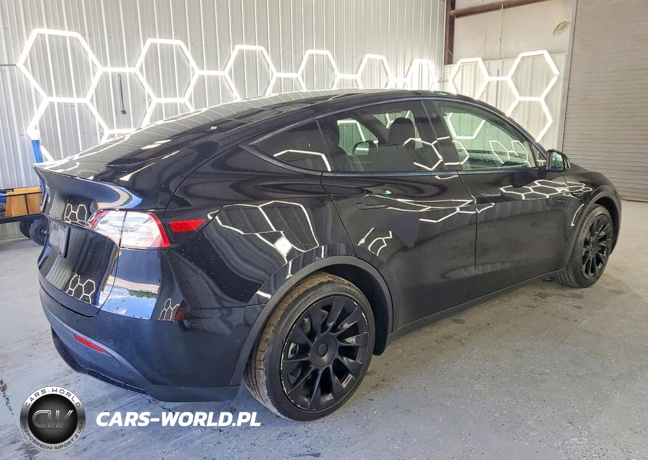 2023 Tesla Model Y VIN:7SAYGAEE8PF584543 - 3
