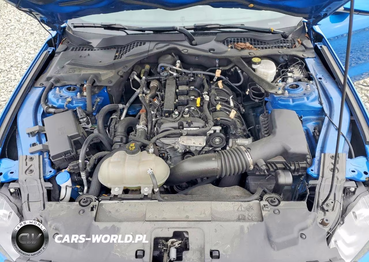 2021 Ford Mustang VIN:1FATP8UH6M5136610 - 11