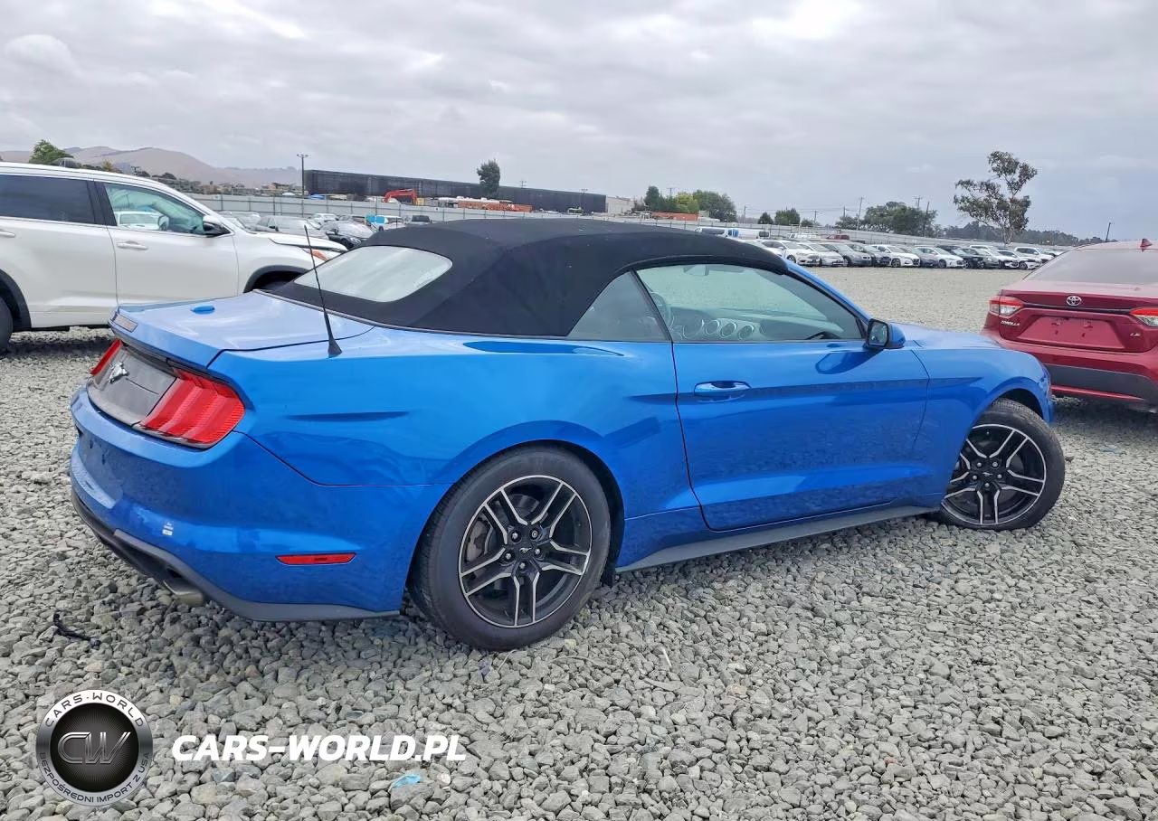 2021 Ford Mustang VIN:1FATP8UH6M5136610 - 3