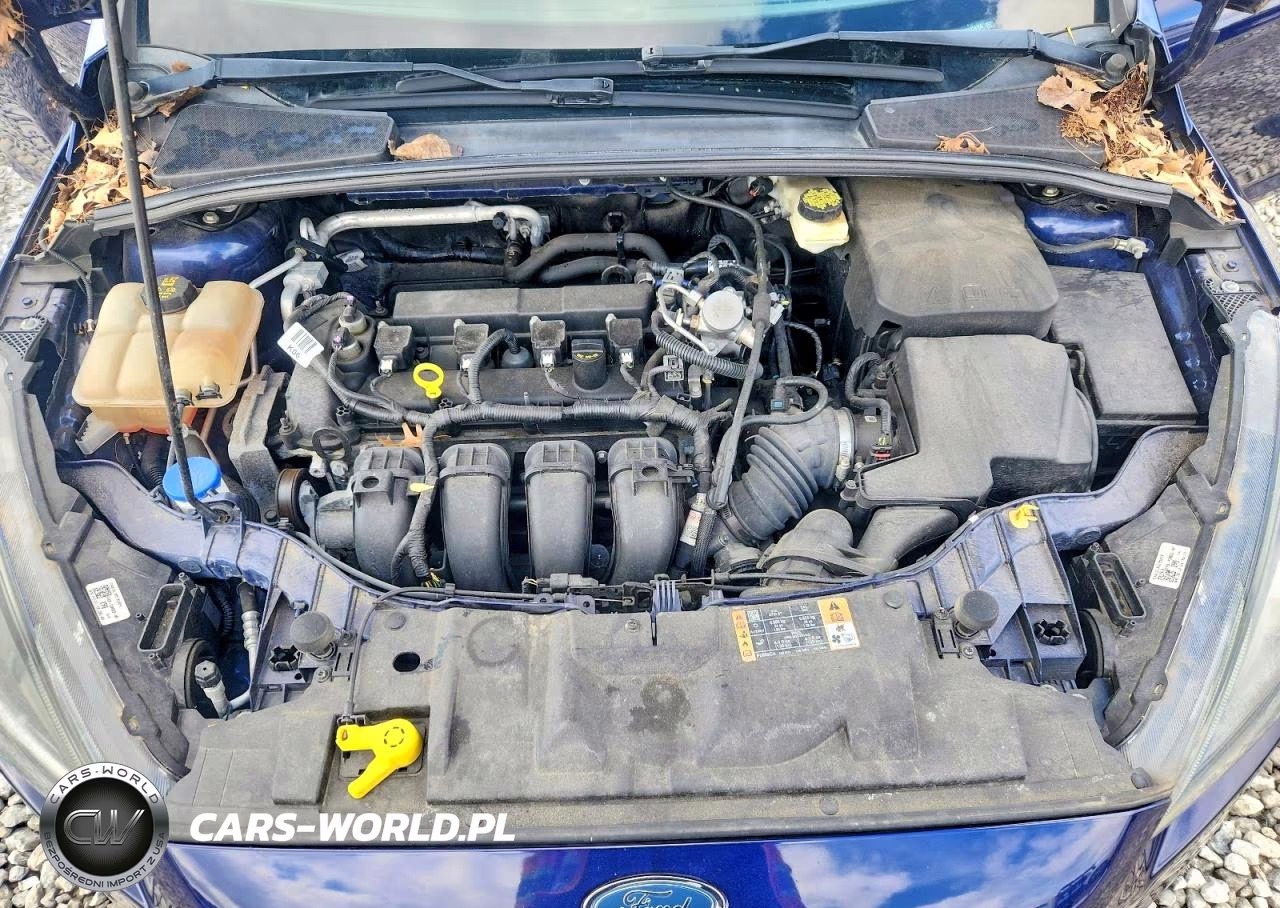 2017 Ford Focus Sel VIN:1FADP3H25HL229150 - 11