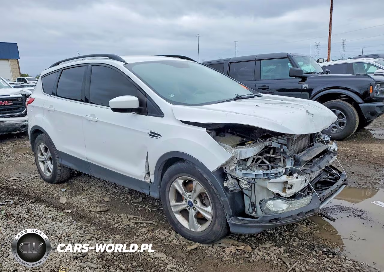 2014 Ford Escape Se VIN:1FMCU0GX6EUB59816 - 4