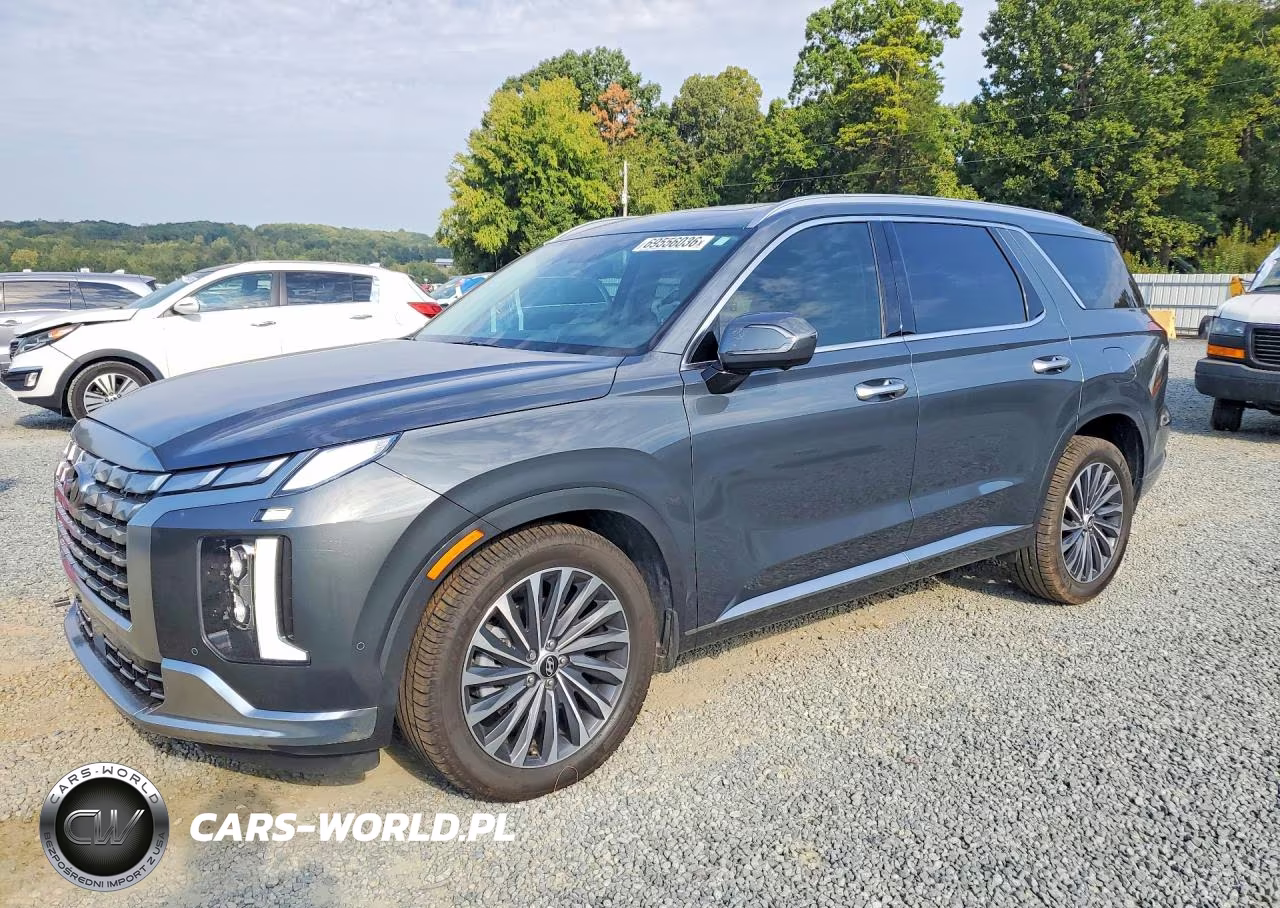 2024 Hyundai Palisade Calligraphy VIN:KM8R7DGE0RU697392 - 1