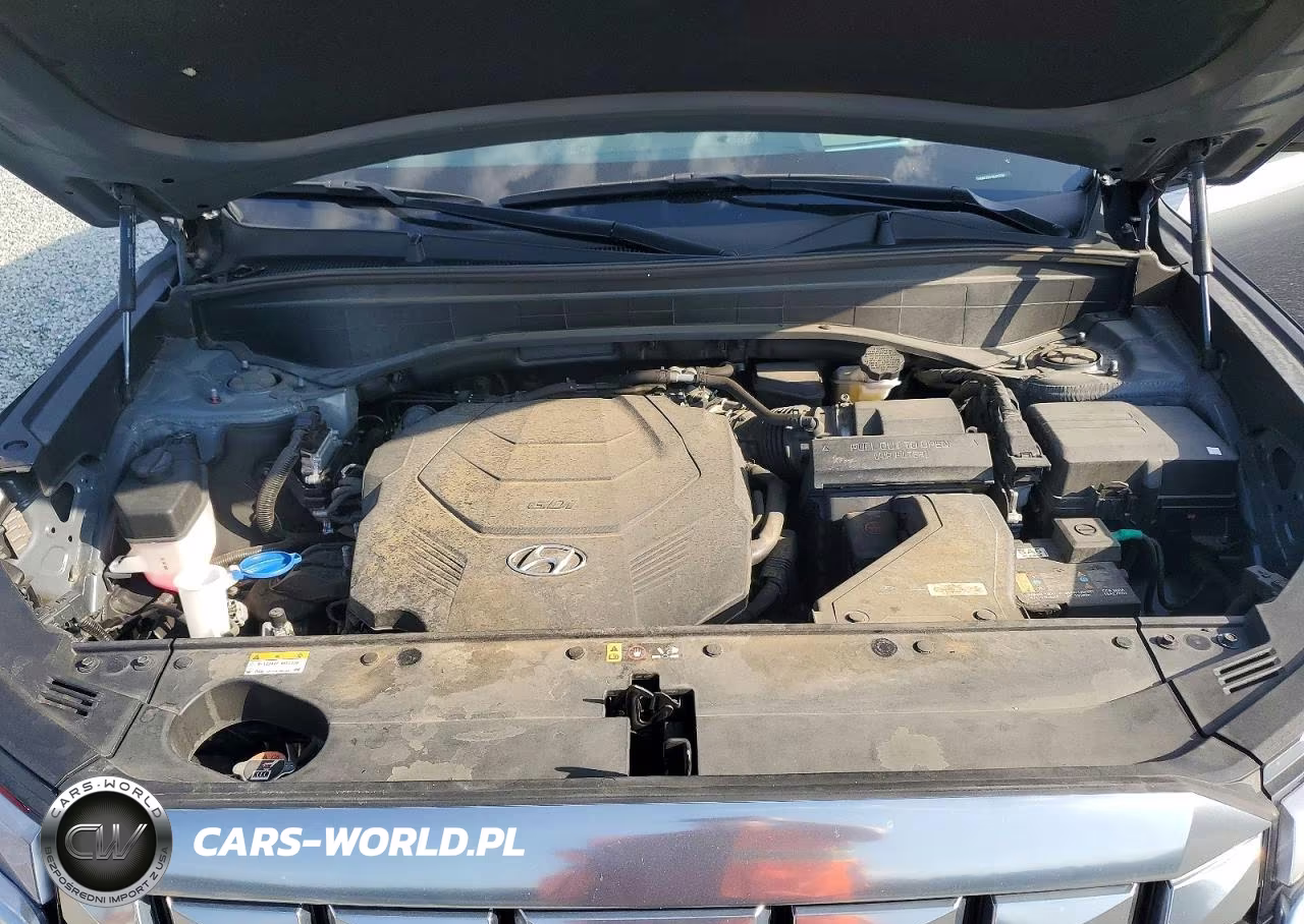2024 Hyundai Palisade Calligraphy VIN:KM8R7DGE0RU697392 - 12