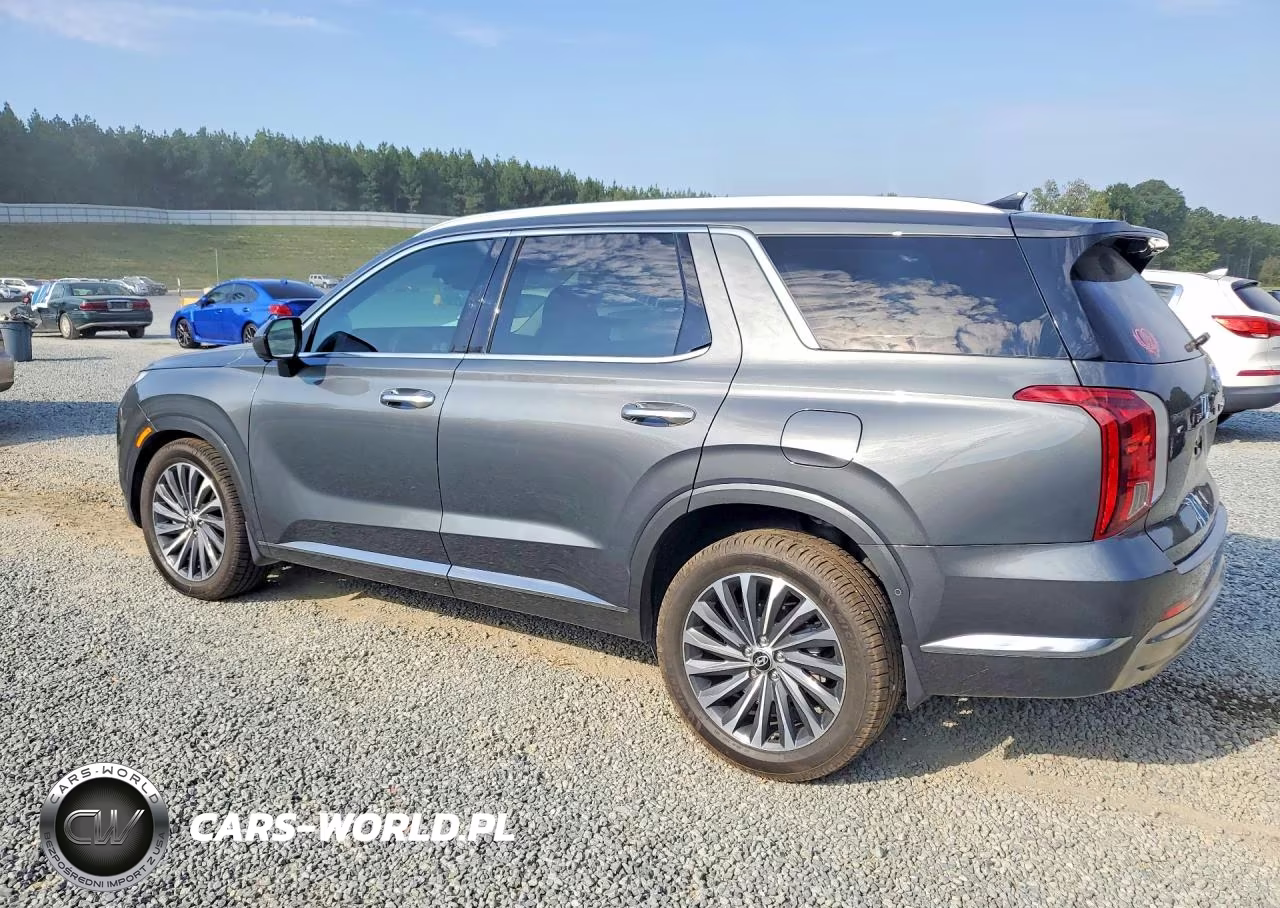 2024 Hyundai Palisade Calligraphy VIN:KM8R7DGE0RU697392 - 2
