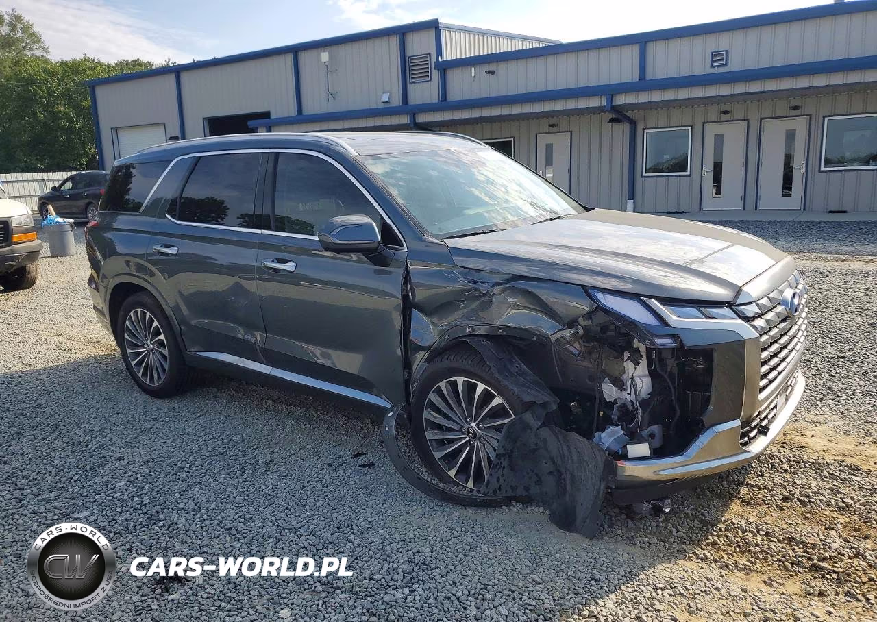 2024 Hyundai Palisade Calligraphy VIN:KM8R7DGE0RU697392 - 4